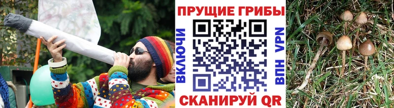 наркошоп  Северобайкальск  MEGA маркетплейс  Псилоцибиновые грибы ЛСД 
